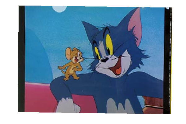 楽天市場 日本製 トムとジェリー Tom And Jerry クリアファイル なかよし フィルムアート トム ジェリー ワーナー アニメ 入れ物 ファイル ファイルケース ケース 整理 文房具 学校 雑貨 グッズ かわいい