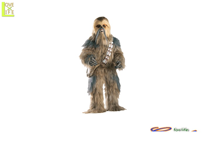 楽天市場】コスプレ 仮装 SPエディション・チューバッカ 大人用 STD