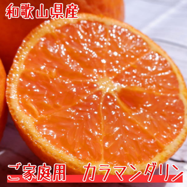 ご家庭用　カラマンダリン約10キロ【４月末～５月上旬頃より収穫予定】【和歌山県】【わけあり】【訳あり】【ワケアリ】【送料込】【送料無料】【お買い得】【ギフト】【オレンジ】【みかん】【国産】【10ｋｇ】【10キロ】
