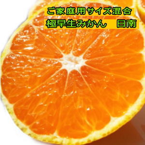 楽天市場】極早生みかん 日南 約9.5kg（箱込み10kg）ご家庭