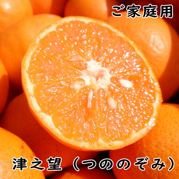 楽天市場】＼タイムセール／津之望（つののぞみ）約5キロ ご家庭用