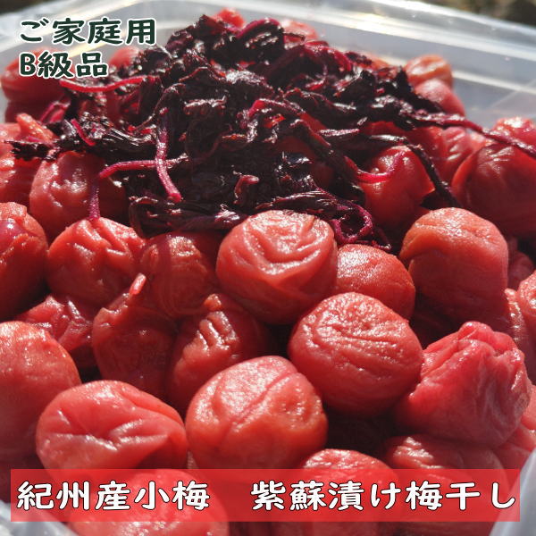 楽天市場】ご家庭用 B級品 紀州産 白干小梅 4キロ（1kg×4