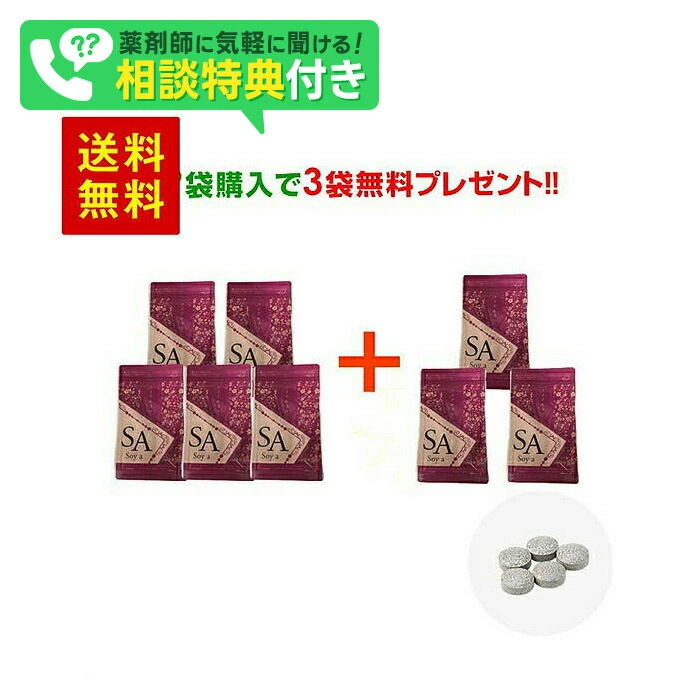 ソイアルファ60粒×9＋3袋