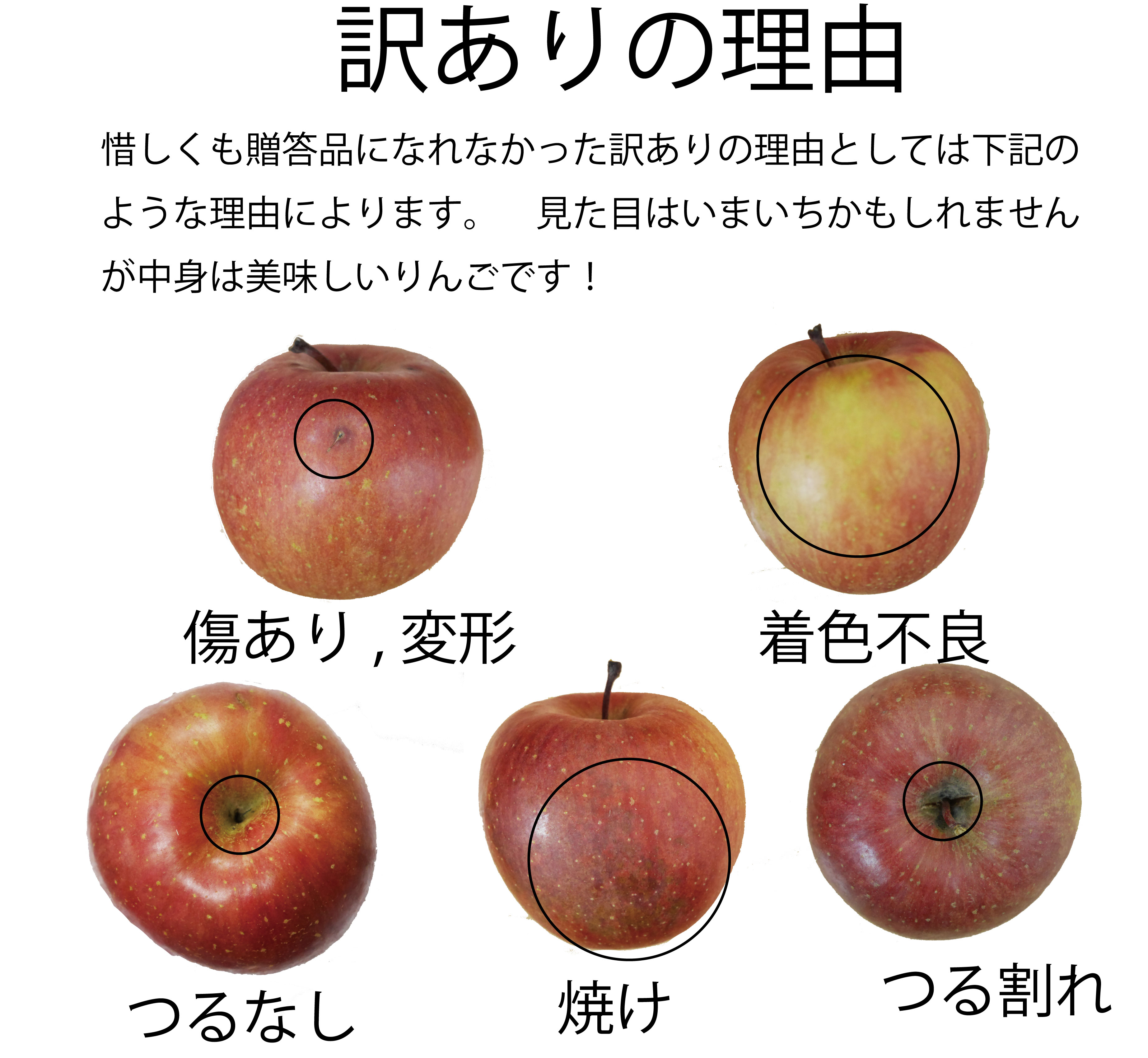 楽天市場 青森県産 りんご サンふじ ご家庭用 訳あり ｋｇ 木箱orダンボールでも送料無料 数量限定で９００円引き 青い森の店