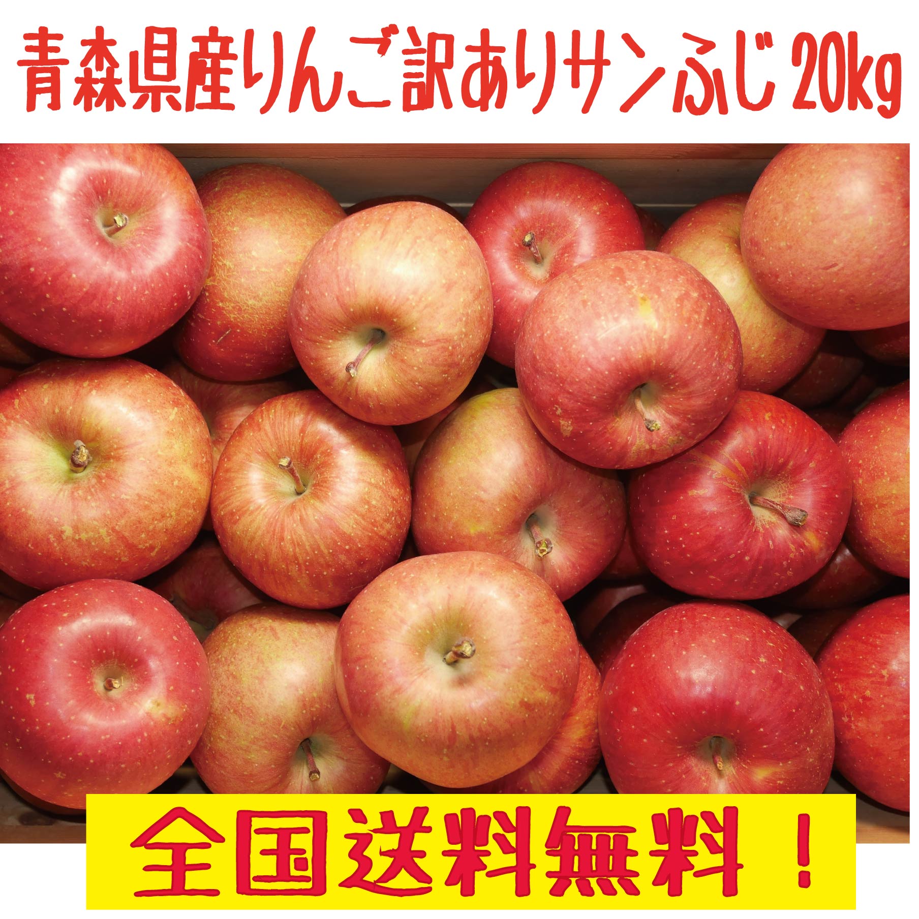 青森県産りんご　トキ③食べきりサイズ