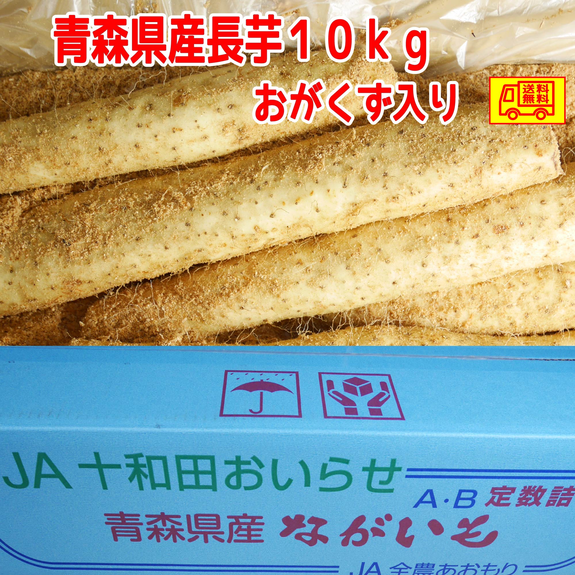 青森県産　長芋　家庭用　M-４L　１０ｋｇ　洗浄済み　おがくず入り 全国送料無料！