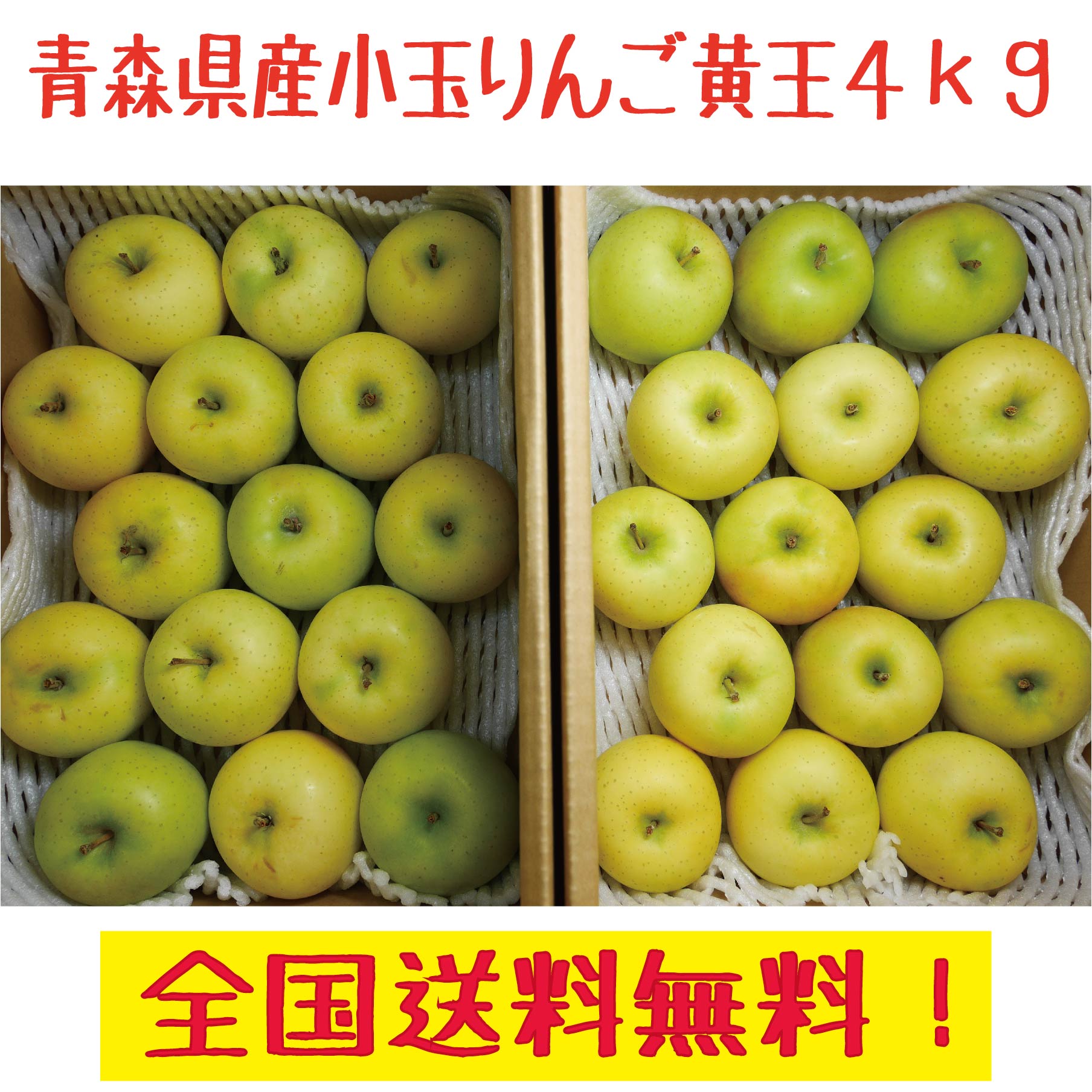 青森県 南部地方産 硬い洋梨(バートレット)大量総重量 約24㎏大きい順に入る④ 青森県 南部地方産 硬い洋梨(バートレット)大きい順に総重量 約
