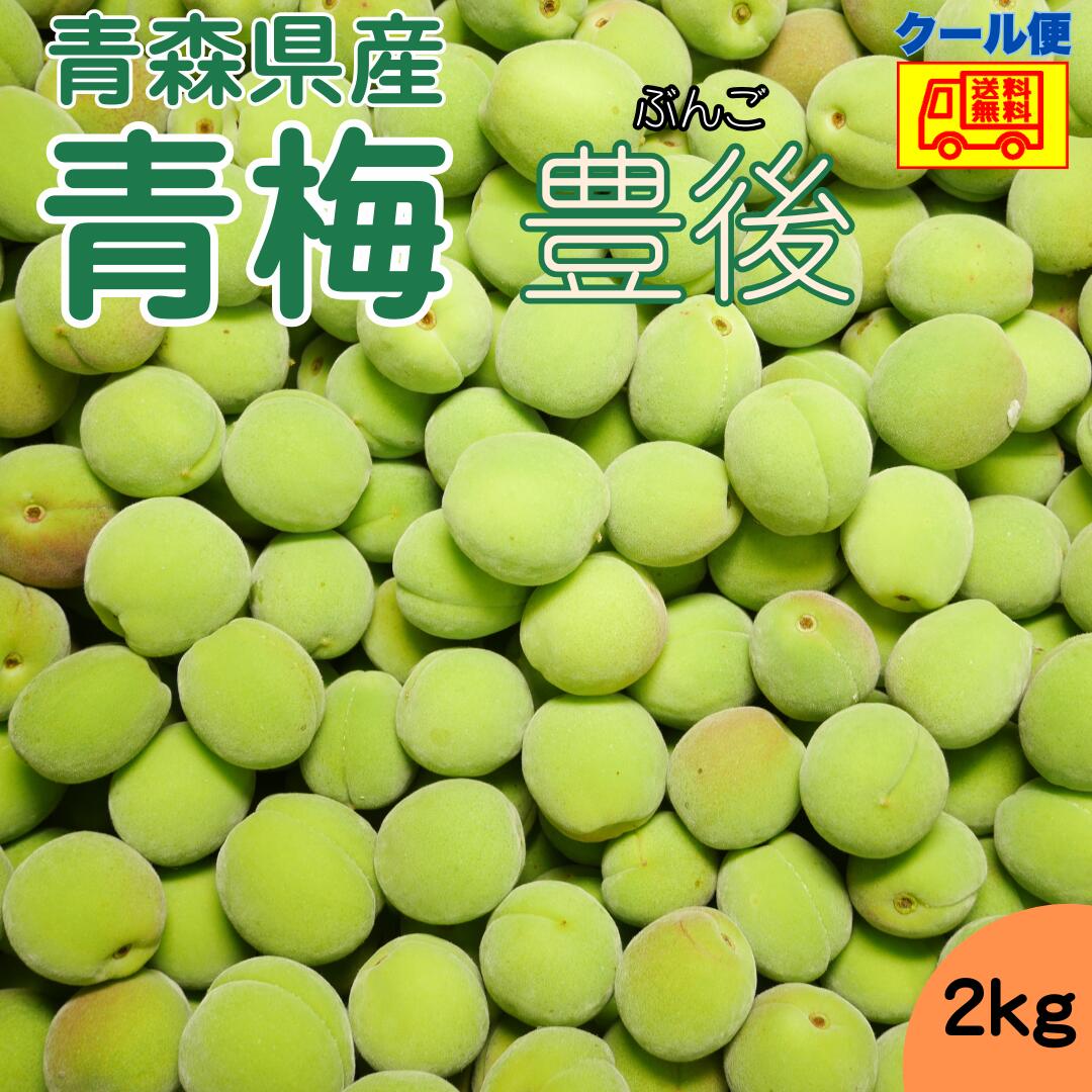 161❤️青梅5kg Mサイズ 紅さし　秀品 楽天市場】青梅 5kg 南高梅の通販