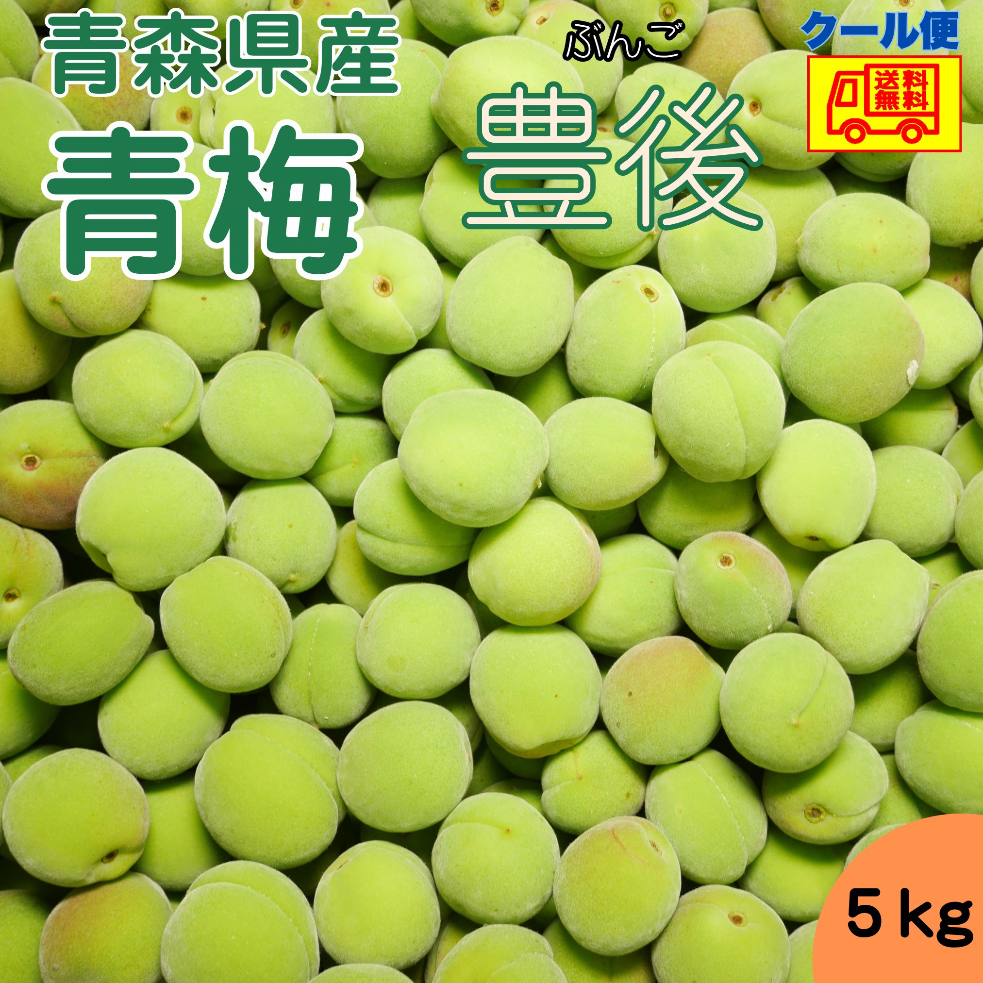楽天市場】【即日発送実施中！】山形県産 加工用 青梅 1kg【山形