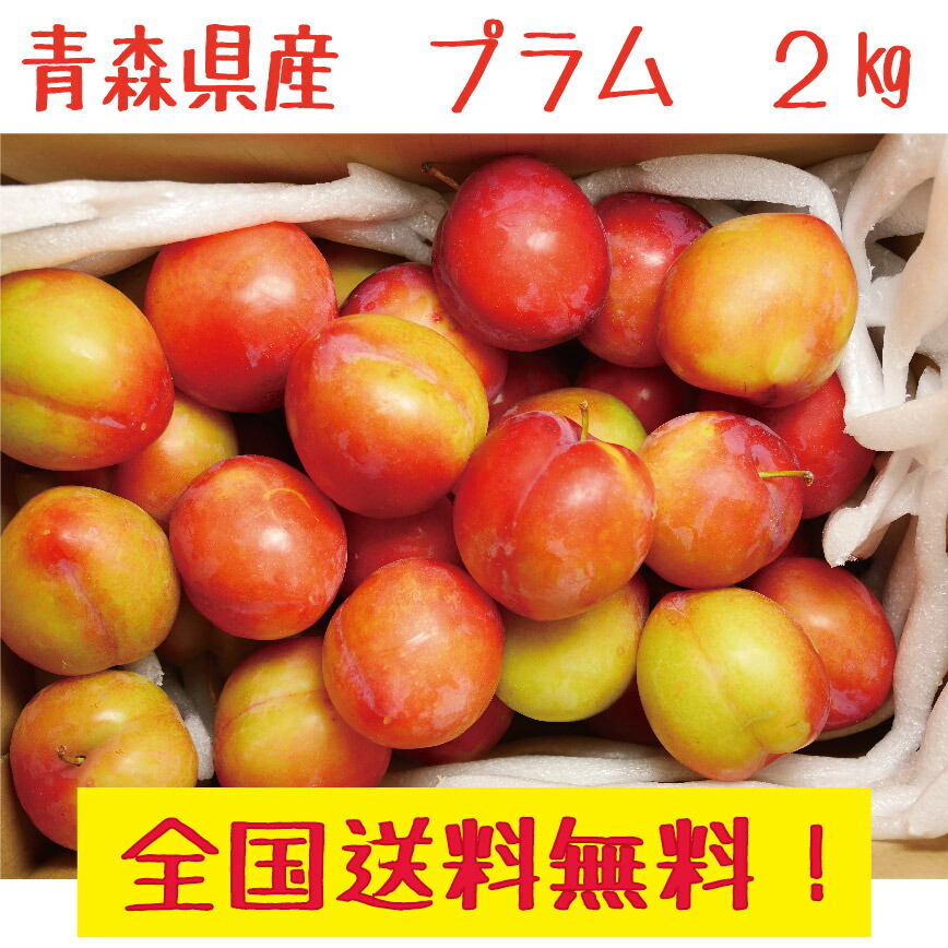 すももがらり　傷あり　訳あり　10㎏ 61qvmckif9L._UF350,350_QL50_.jpg