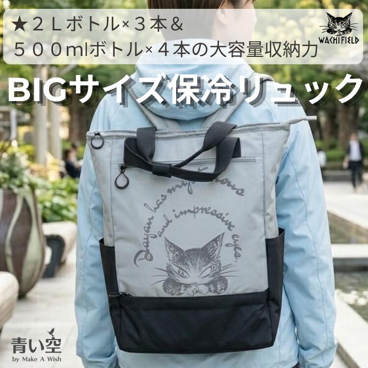 「乳くさい空 × わちふぃーるど」