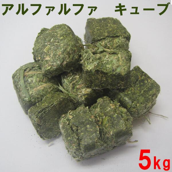 楽天市場】牧草 チモシー ダブルプレス 2kg[1kg×2箱] : めばえや