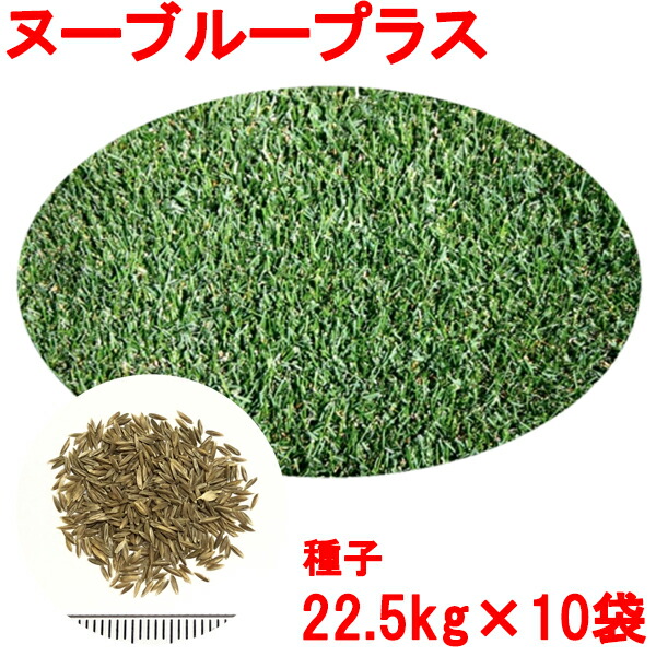 種子 ケンタッキーブルーグラス ヌーブループラス 22.5kg×10袋