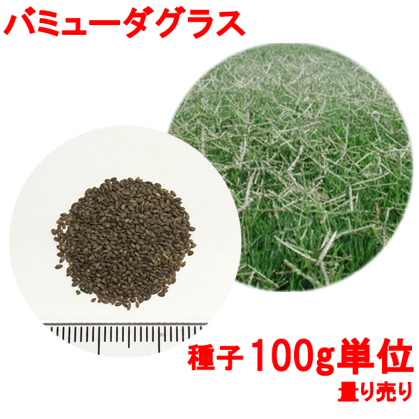 芝生の肥料 バーディーエース新1号 20kg