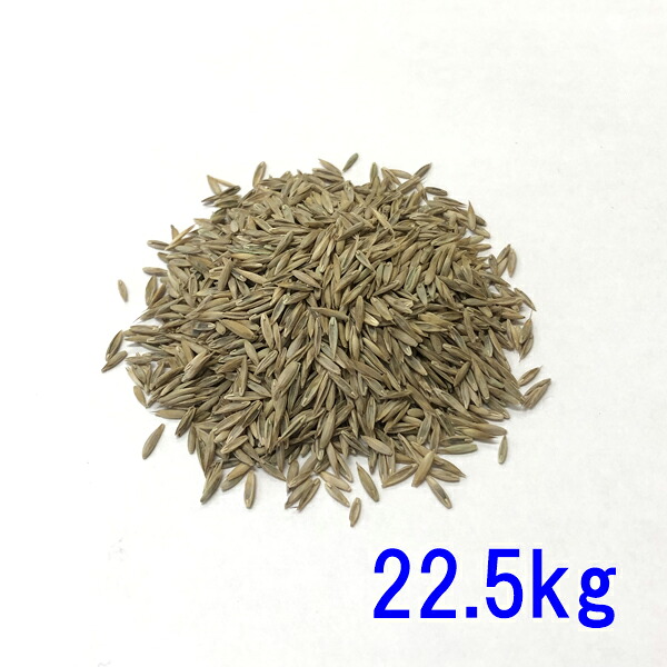 内果皮 トールフェスク ダイナマイトG-LS 22.5kg