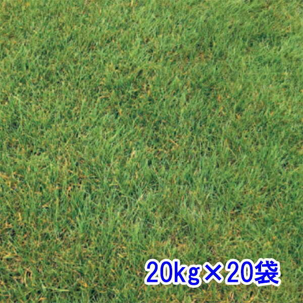 種子 クリーピングレッドフェスク カージナルII 20kg&times;20袋｜めばえや