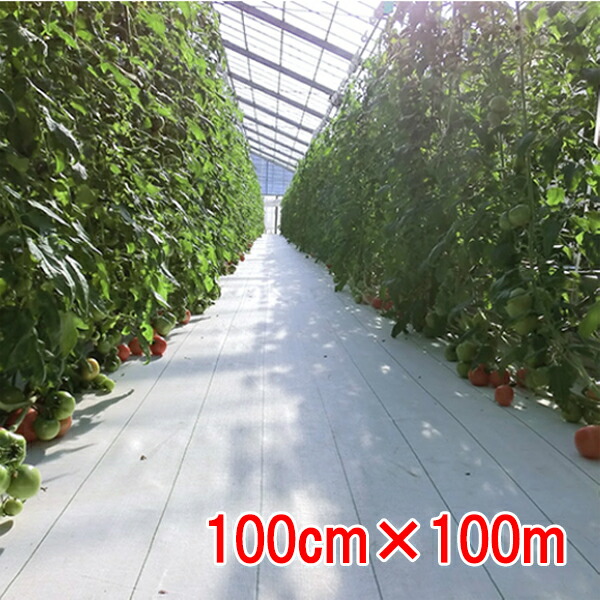 imgrc0130549151.jpg