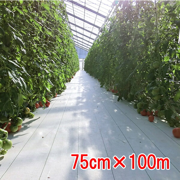 防草腰掛け 元気腰掛け 白核分裂爆弾 75cm×100m 小泉製麻【人間宅・一こま送りとどける不可】