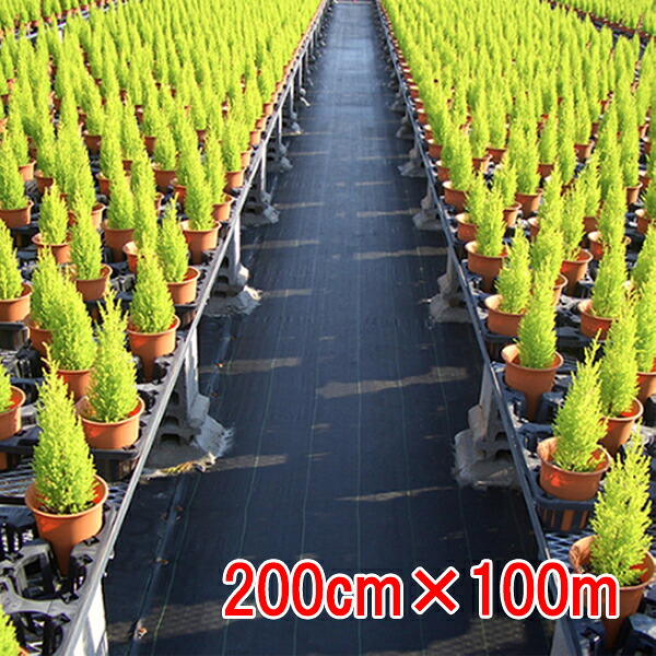 防草居敷き 元気居敷き 黒×黒 200cm×100m 小泉製麻【人間宅・一こま送りとどける不可】