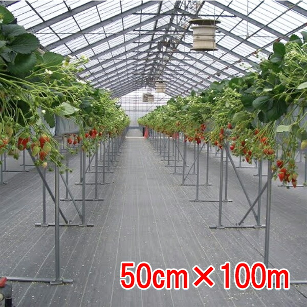 防草シート ルンルンシート 白&times;黒 50cm&times;100m 小泉製麻【個人宅・現場発送不可】｜めばえや