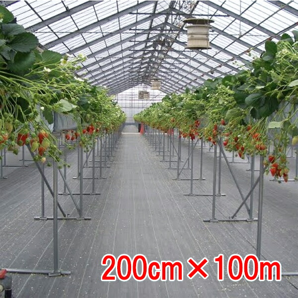 防草腰掛け 元気腰掛け 白×黒 200cm×100m 小泉製麻【人間宅・一こま送りとどける不可】