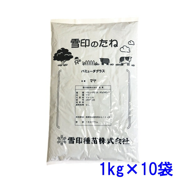 内果皮 バミューダ水呑み 10kg