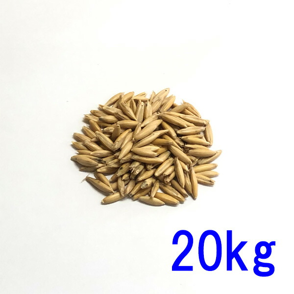 内果皮 えん麦(オーツヘイ) 殻つき 20kg