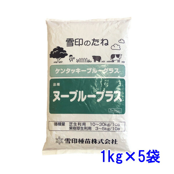 種子 ケンタッキーブルーグラス ヌーブループラス 5kg｜めばえや