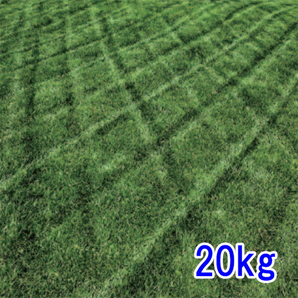種子 トールフェスク ナチュラリーグリーン 20kg｜めばえや