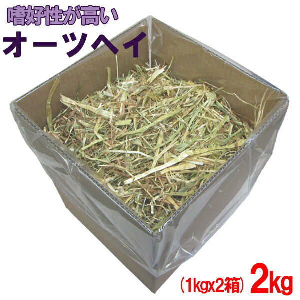 楽天市場】牧草 チモシー ダブルプレス 2kg[1kg×2箱] : めばえや