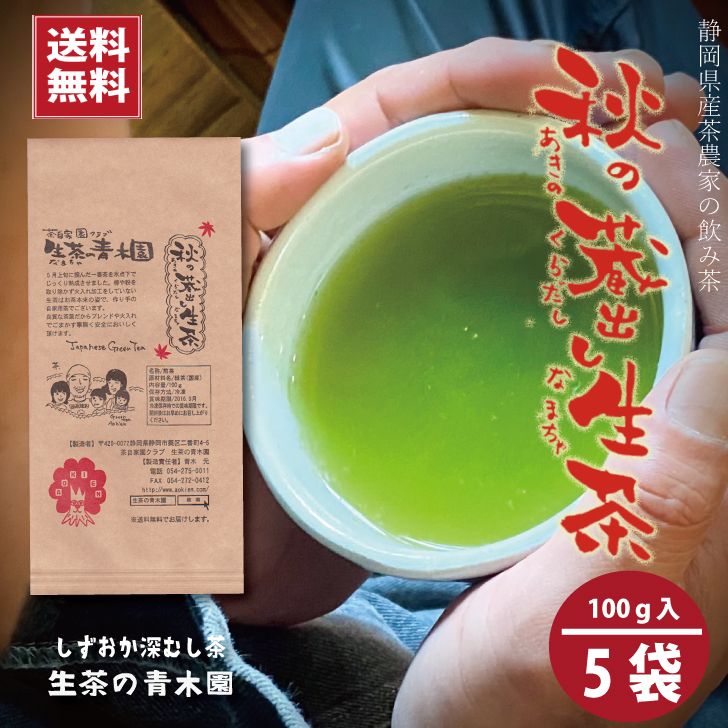 静岡茶 深蒸し茶 100g3袋 日本茶緑茶煎茶 - 茶