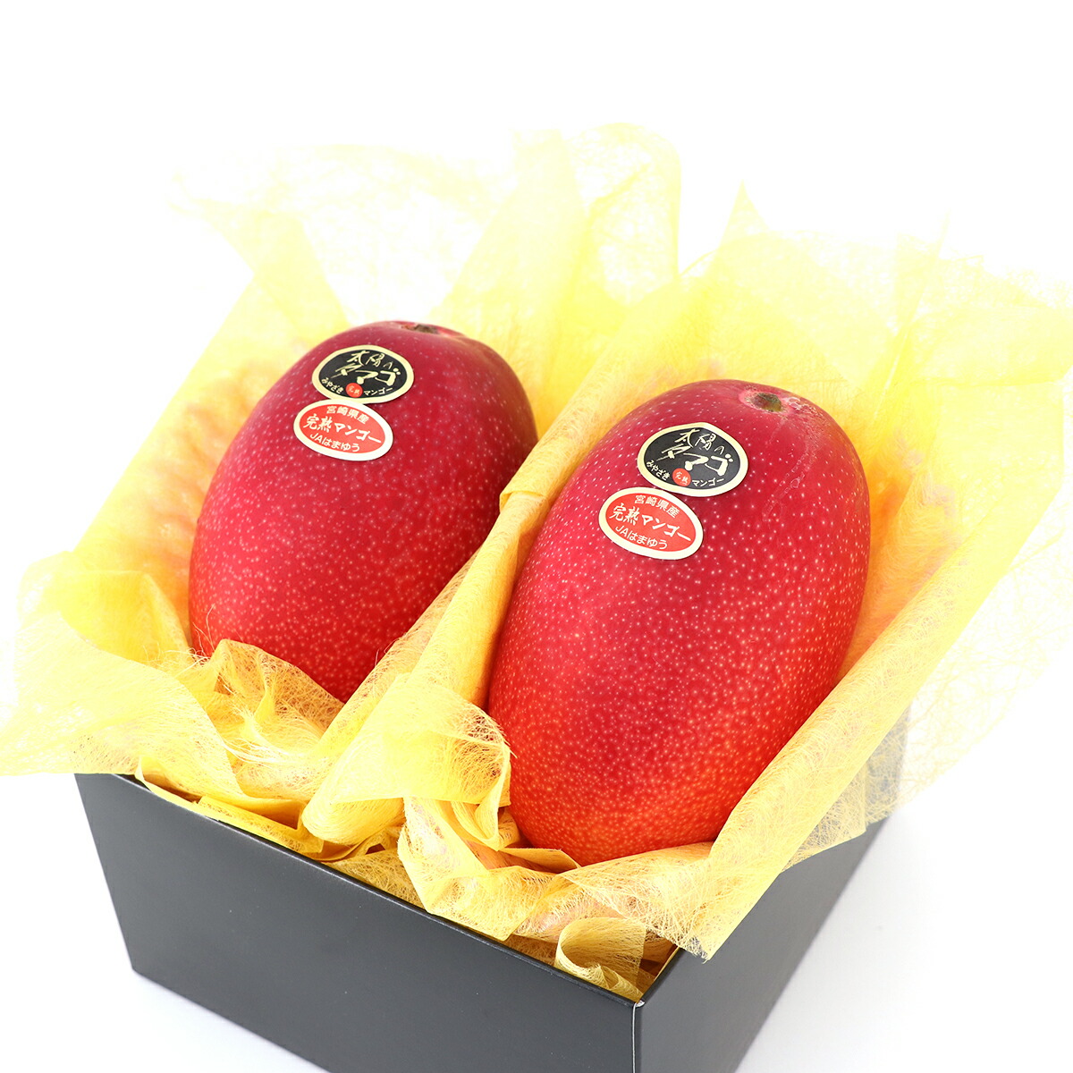 宮崎県産完熟マンゴー　太陽のタマゴ 2Lサイズ　2個入[太陽のタマゴ　2Lサイズ]RC 送料込 果物詰め合わせ 誕生日 プレゼント 御祝 内祝 結婚 御見舞 お礼 快気祝 お祝い くだもの  贈り物 お供え物 季節のフルーツ