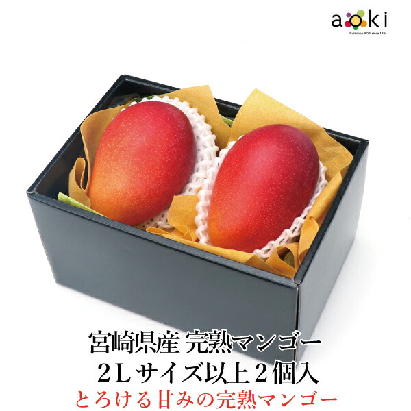 宮崎県産 完熟マンゴー ２Lサイズ以上 2個入 RC 送料込 果物詰め合わせ 誕生日 プレゼント 御祝 内祝 結婚 御見舞 お礼 快気祝 お祝い くだもの 贈り物 お供え物 季節のフルーツ 母の日 父の日 御中元
