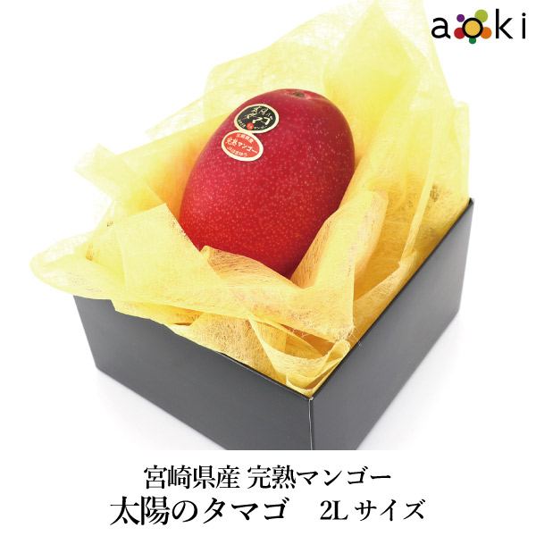 宮崎県産完熟マンゴー　太陽のタマゴ　2Lサイズ[太陽のタマゴ　2Lサイズ]RC 送料込 果物詰め合わせ 誕生日 プレゼント 御祝 内祝 結婚 御見舞 お礼 快気祝 お祝い くだもの  贈り物 お供え物 季節のフルーツ