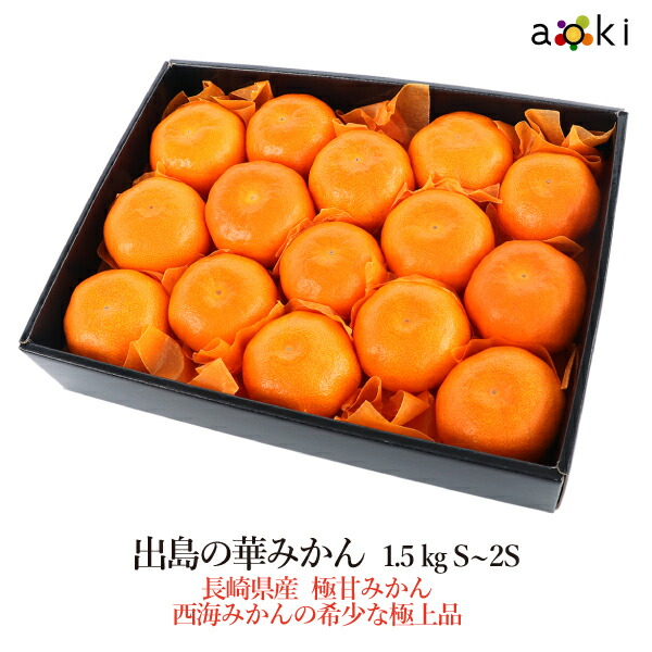 長崎県産〜最高級みかん「出島の華」糖度14度以上。正味重量‥約５キロ 数量限定】出島の華2Sサイズ約5kg【送料込】 | 白木果樹園