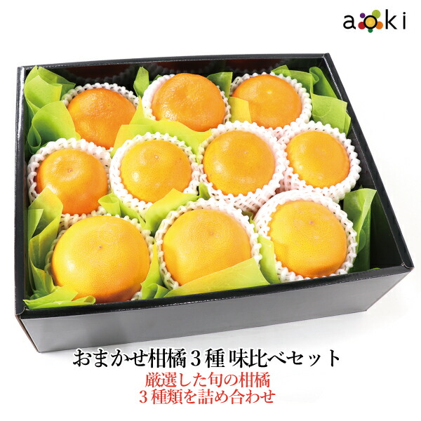おすすめ柑橘3種味比べセットアオキフルーツ[おすすめ柑橘 おすすめ柑橘（津の輝き・はれひめ等） おすすめ柑橘（天草・美娘等）]RT お歳暮 御歳暮 冬ギフト送料込 果物詰め合わせ 誕生日 プレゼント 御祝 御見舞 お礼 快気祝 お祝い くだもの  贈り物 季節のフルーツ