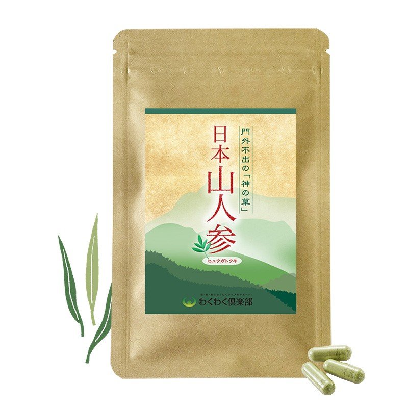 楽天市場】日本山人参100％（ヒュウガトウキ）山人参 （45カプセル 6袋