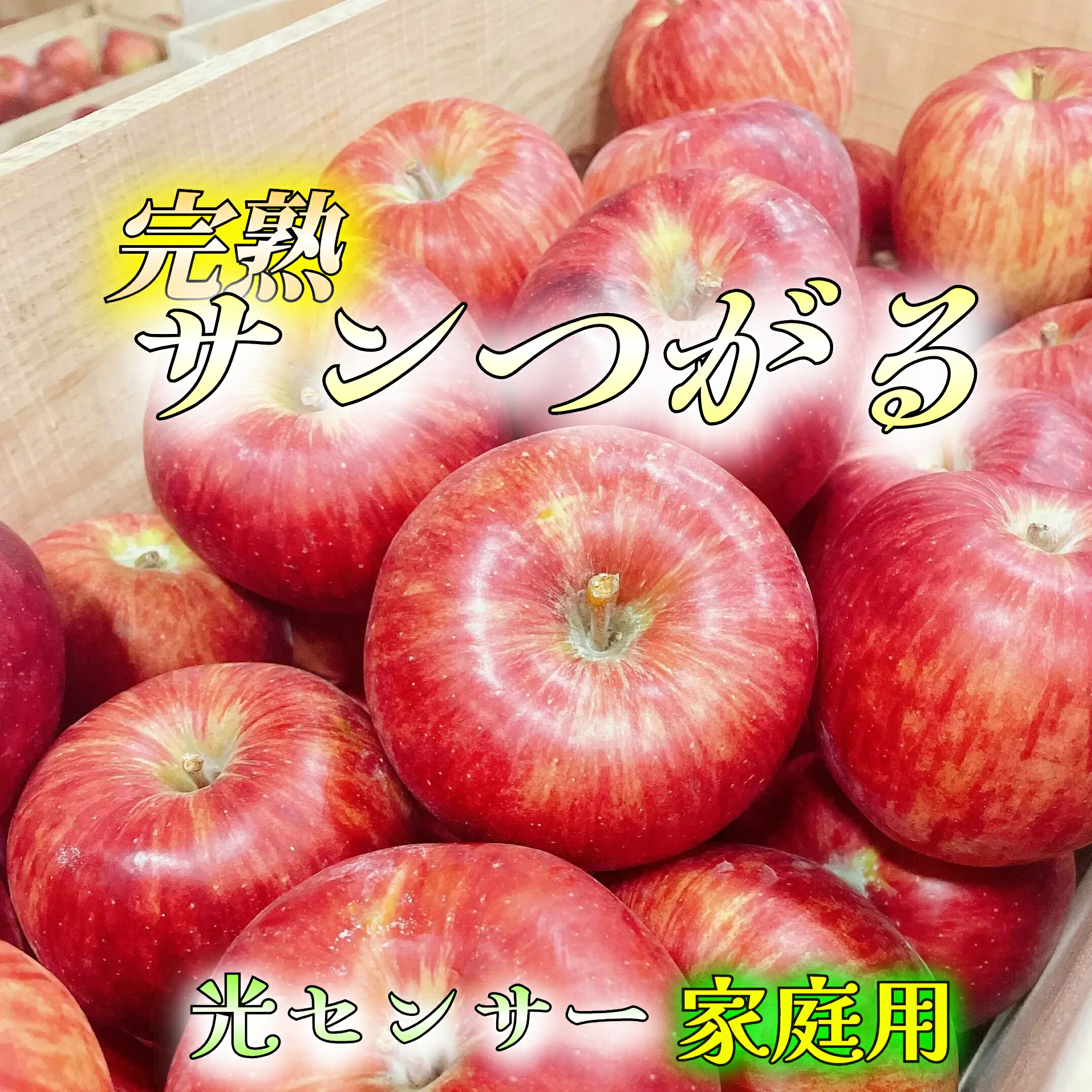 楽天市場】冷蔵便 姫りんご アルプス乙女 3kg 5kg 10kg ふじ りんご飴 飴 お菓子 青森県産 青森 青森県 りんご アルプス 乙女 姫  ｱﾙﾌﾟｽ乙女 お祭り サンふじ 祭り 屋台 出店 ｸﾘｽﾏｽ CA貯蔵 SF貯蔵 : 寺田フルーツ楽天市場店