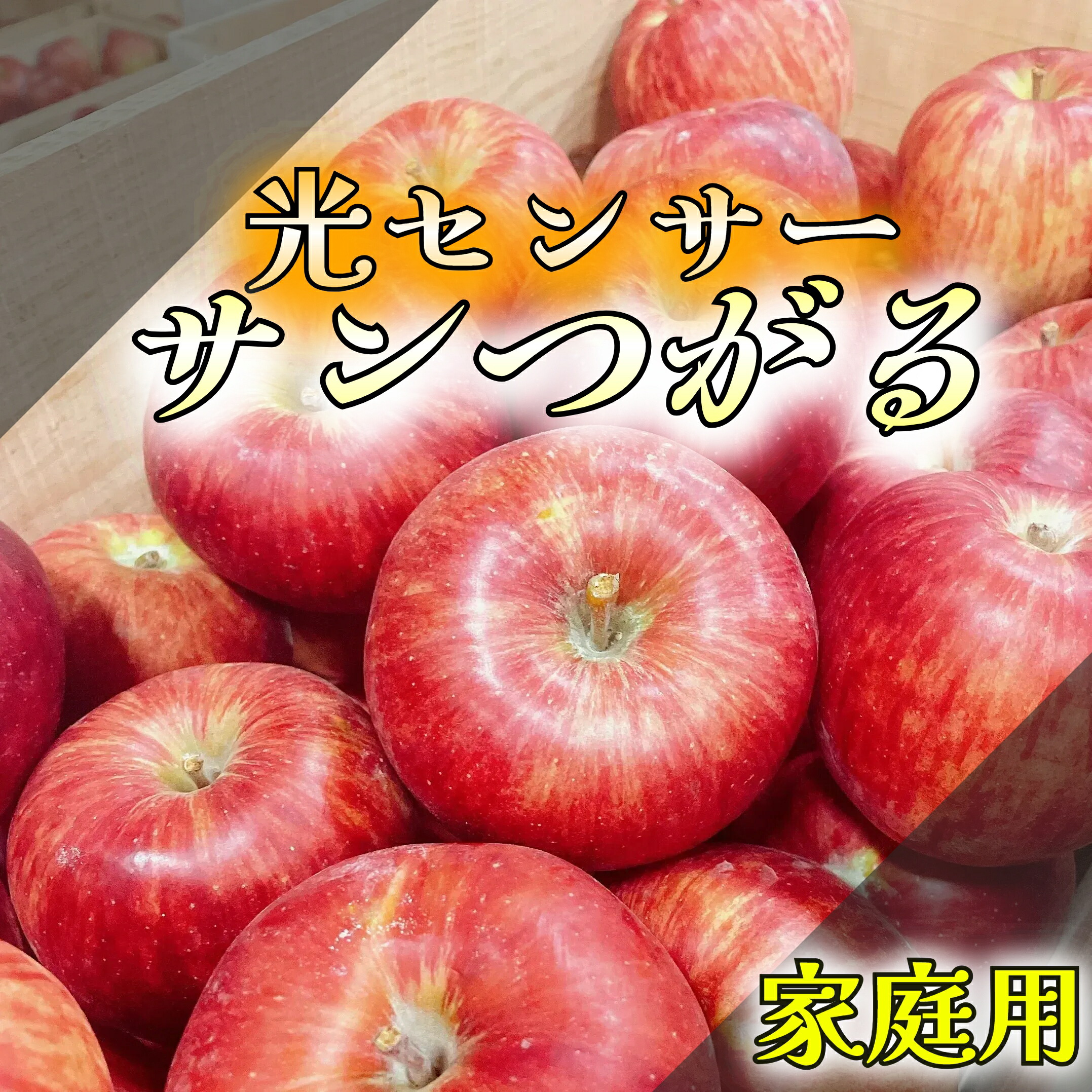 青森県産 ＂ サンふじ ＂ りんご 家庭用 10kg 産地直送 リンゴ 林檎 青森県産 ＂ サンふじ ＂ りんご 家庭用 10kg 産地直送 リンゴ