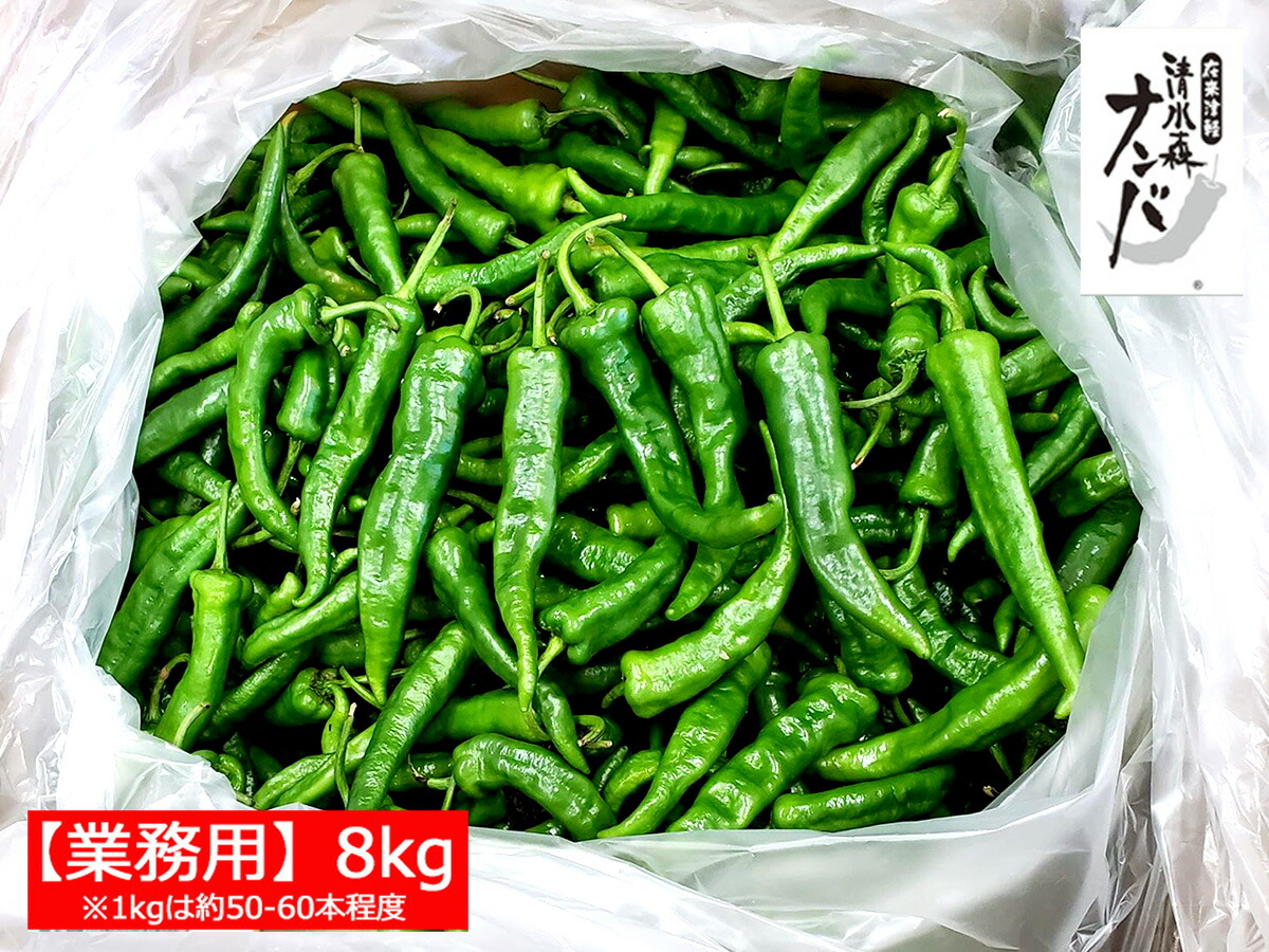 楽天市場 今季終了 業務用 青森県産 在来津軽 清水森ナンバ 青トウガラシ約8kg 冷蔵 同梱不可 青森の店