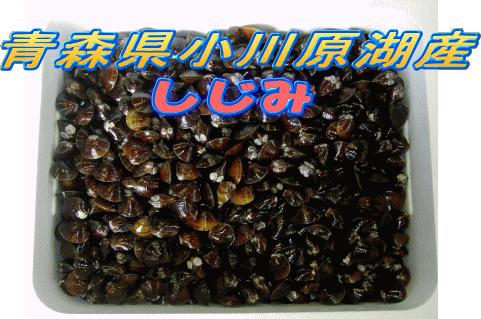 楽天市場】天然タラの芽 300g［予約販売］［4月下旬頃発送予定