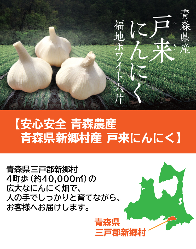 ショップ-青森県にんにく10Kg L 種子可能 •土日サービス QndKa-m6676
