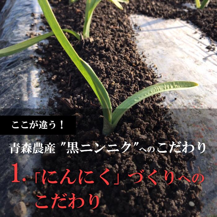 期間限定お試し価格】 《送料無料》天間林流通加工 熟成黒にんにく 元気くん 200g × 4個