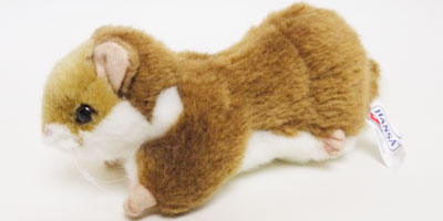 楽天市場】ミニデュナハムスター FAIRIES フルセット 小動物用