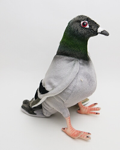【取り寄せ】【新品】ハト29cmHANSA PIGEON鳥のぬいぐるみ