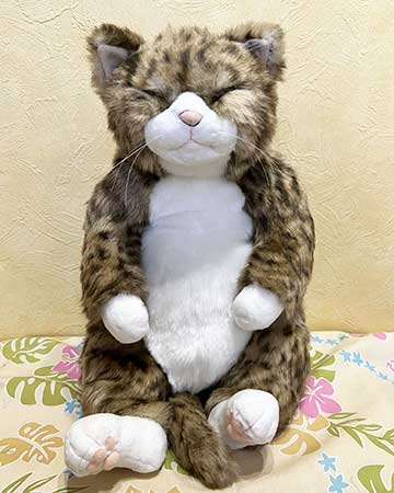 楽天市場】【即納】Cuddlyシリーズ『勘太』 ねこのぬいぐるみ 45cm
