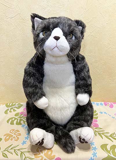 楽天市場】ぬいぐるみ 勘太 : ポッチ