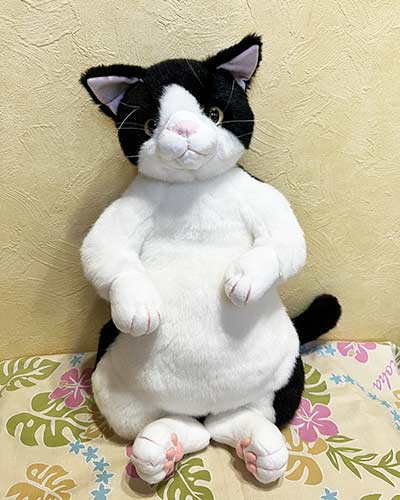 楽天市場】Cuddlyシリーズ『小春』 ねこのぬいぐるみ 49cm : あおねこ商店