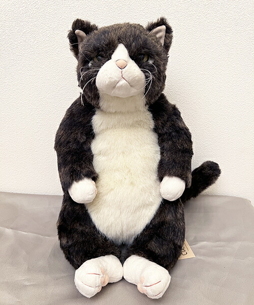 楽天市場】Cuddlyシリーズ『小春』 ねこのぬいぐるみ 49cm : あおねこ商店
