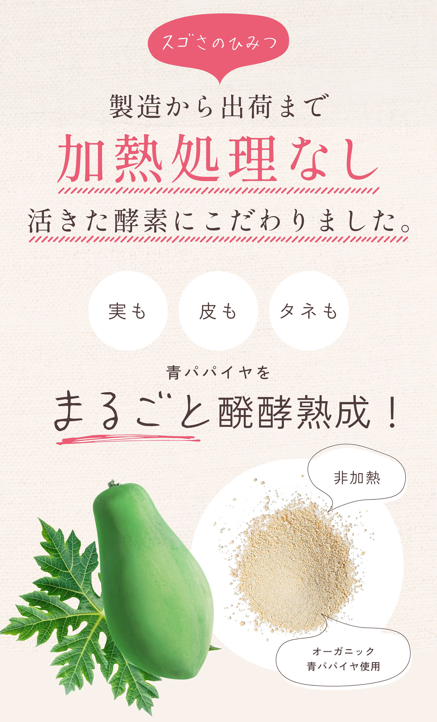 【公式】青パパイヤ酵素 パパイヤセット (顆粒 30包×2箱 / シートマスク / 青パパイヤ酵素入りバー) バイオノーマライザー 非加熱 酵素 粉末 インナーケア トータルケアセット 男女 女性 男性 プレゼント ギフト ご褒美 新生活 30代 40代 50代 60代